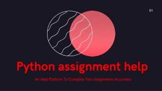 Python Assignment Help Service in Australia with Best Writers