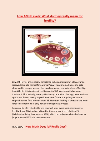 Low AMH Levels What do they really mean for fertility