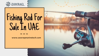 Fishing Rod For Sale In UAE