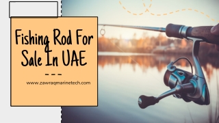 Fishing Rod For Sale In UAE