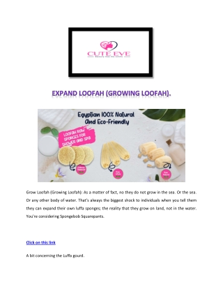 Buy Natural Loofah  - Cute Eve