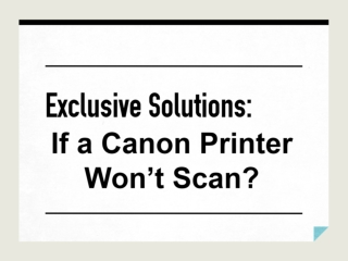 Exclusive Solutions If a Canon Printer Won’t Scan