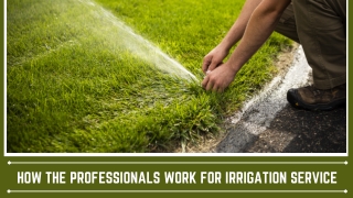 Perfect Irrigation System For Your Lawn
