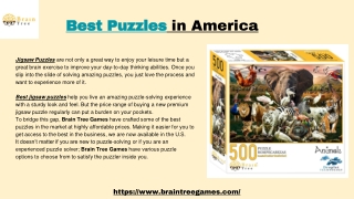 Best Puzzles in America
