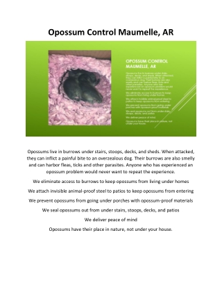 Opossum Control Maumelle, AR