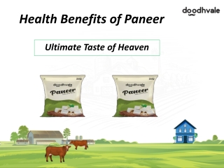 Buy Fresh Paneer Online in Delhi at Best Price
