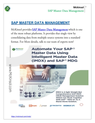 SAP Master Data Management