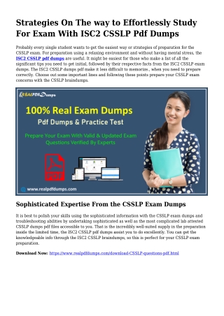 Precious Planning From the Assist Of CSSLP Dumps Pdf