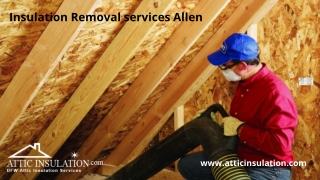 Insulation Removal Service Allen