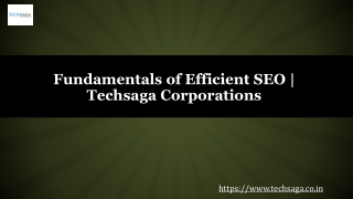 Fundamentals of Efficient SEO | Techsaga Corporations