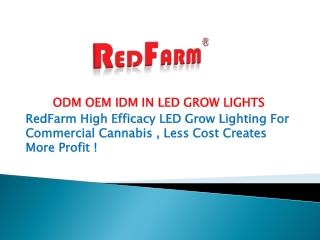 Even Your Plants Need Indoor Grow Lights For Vegetables