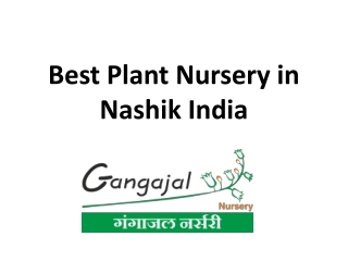 Best Plant Nursery in Nashik India