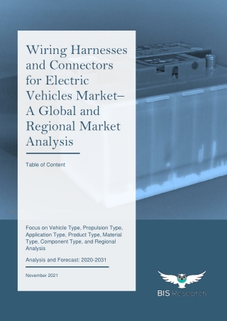 Wiring Harness and Connectors for Electric Vehicles