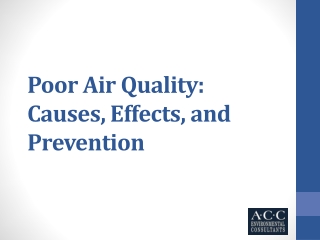 Poor Air Quality Causes, Effects, and Prevention