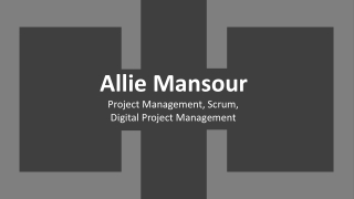 Allie Mansour - Possesses Outstanding Interpersonal Abilities