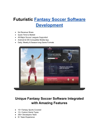 Fantasy Soccer Software Development