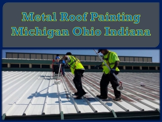 Metal Roof Painting Michigan Ohio Indiana