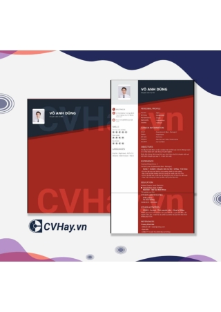 Chuyen_vien_Co_Khi_Vo_Anh_Dung_CVHay_vn