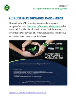 Enterprise Information Management