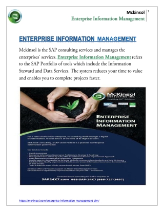 Enterprise Information Management