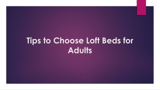 Tips to Choose Loft Beds for Adults