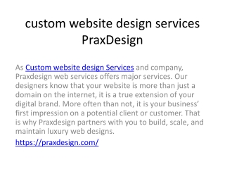 custom website design services PraxDesign