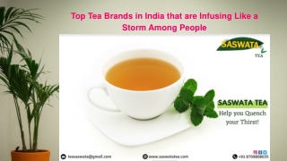 Top Tea Brands in India that are Infusing Like a Storm Among People