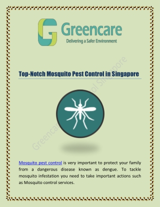 Top-Notch Mosquito Pest Control in Singapore – Greencare