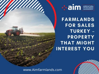 Farmlands for Sales Turkey – Property That Might Interest You