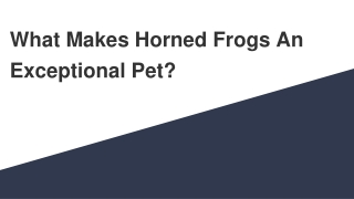 What Makes Horned Frogs An Exceptional Pet?