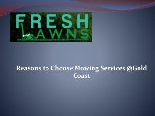 Reasons to Choose Mowing Services @Gold Coast