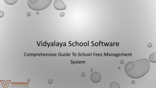 Comprehensive Guide To School Fees Management System