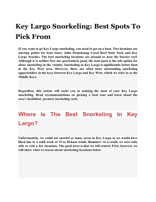 Key Largo Snorkeling: Best Spots To Pick From