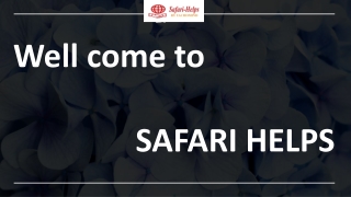 Get the Details Marketing Strategy for Your Agency at Safari Helps