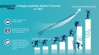 Collagen peptides Market to Grow at a CAGR of 10.9% to 2028