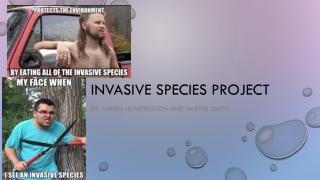 Invasive species project