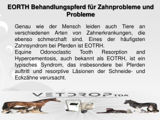 EORTH Behandlungspferd für Zahnprobleme und Probleme