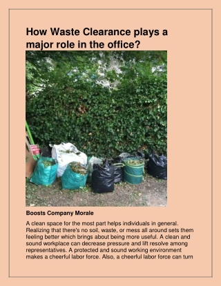 Get the best Rubbish Clearance in Hackbridge