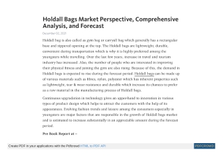 Holdall Bags Market Trends and Research Insights by 2027