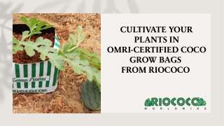 Use hand-made, durable, 100% organic, and recyclable coco grow bags