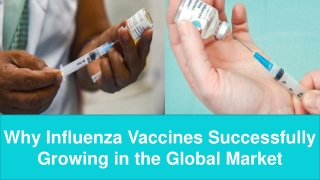Why Influenza Vaccines Successfully Growing in the Global Market