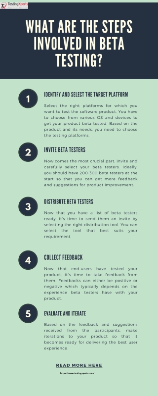 What are the steps involved in Beta Testing