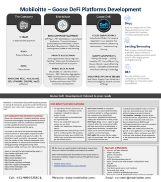 Goose defi platform development