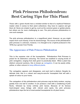 Pink Princess Philodendron: Best Caring Tips for This Plant