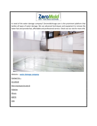 Water Damage Company  Zeromoldchicago.com