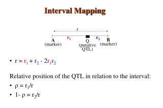 r = r 1 + r 2 - 2 r 1 r 2 Relative position of the QTL in relation to the interval: ρ = r 1 /r 1- ρ = r 2 /r