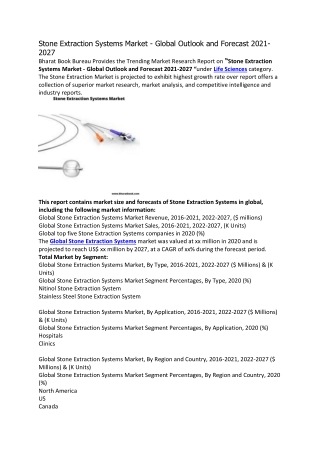 Stone Extraction Systems Market