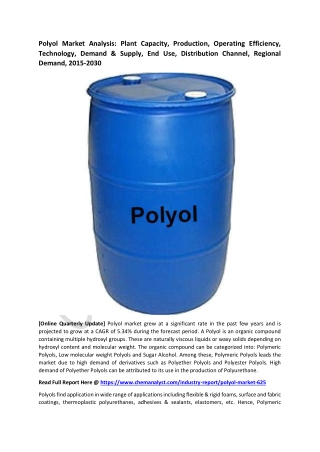Polyol Market Size, Share, Industry Analysis Report, 2030