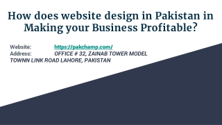 How does website design in Pakistan in Making your Business Profitable?