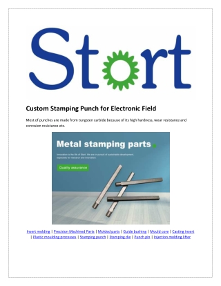 Custom Stamping Punch for Electronic Field Startmould.com